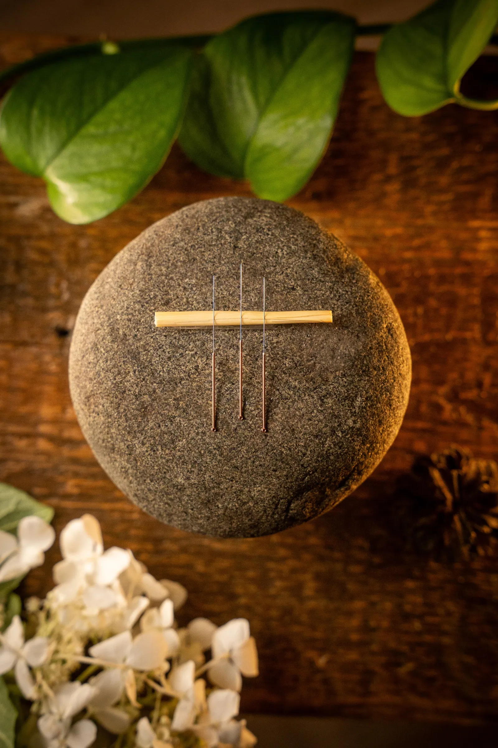 Judith Dufour-Savard, acupunctrice